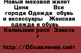 Новый меховой жилет › Цена ­ 14 000 - Все города Одежда, обувь и аксессуары » Женская одежда и обувь   . Калмыкия респ.,Элиста г.